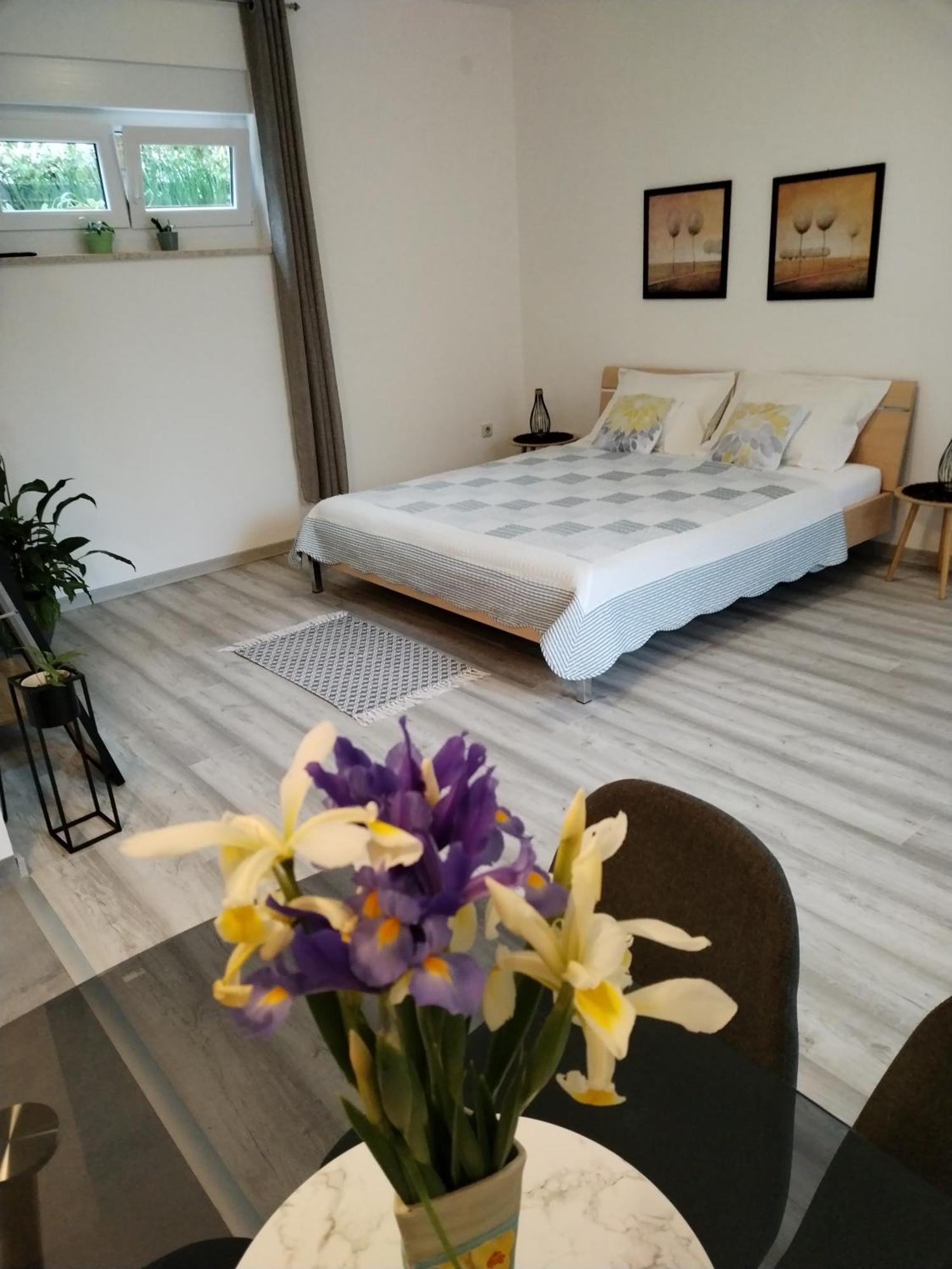 Mirijana Appartement Pula